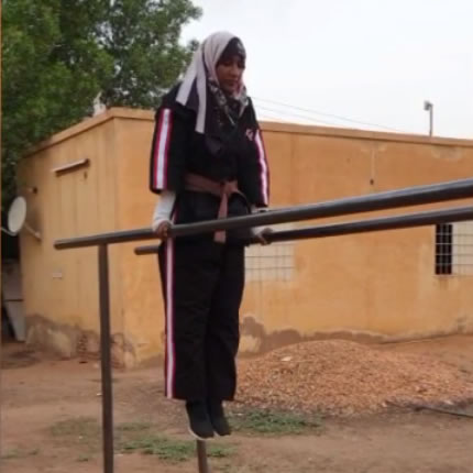 هوجو اندو البيت الياباني